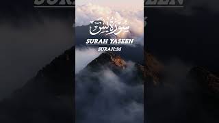 Surah Yasin  Yaseen  Beautiful Recitation 🌸surahyaseen beautifulrecitation [upl. by Donegan]