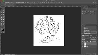 How to Change the Color of Line Art on Photoshop [upl. by Nealy]