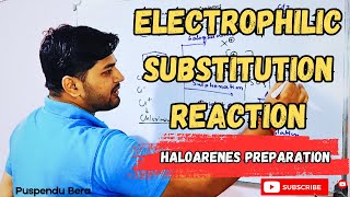 Electrophilic Substitution Reaction Mechanism  Haloarenes Preparation [upl. by Ailedua847]