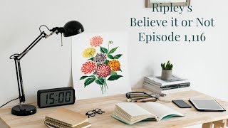 Ripleys Believe it or Not  Episode 1116  Lost Fingers [upl. by Nodnab366]