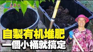 自製有机堆肥，一個小桶就搞定，就是这么简单！ [upl. by Etteroma]