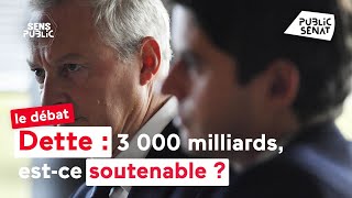 Dette  3 000 milliards estce soutenable [upl. by Anayit]