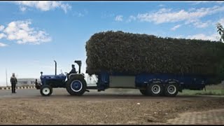 NEW HOLLAND 3630 SPECIAL EDITION WITH FULLY LOADED SUGARCANE TROLLY [upl. by Hertzfeld]