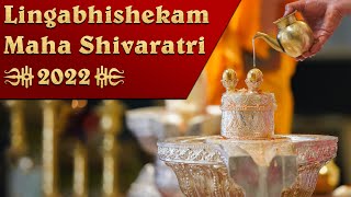 Maha Shivaratri 2022  Lingabhishekam and Message from Sadguru Sri Madhusudan Sai  01 March 2022 [upl. by Taryne]