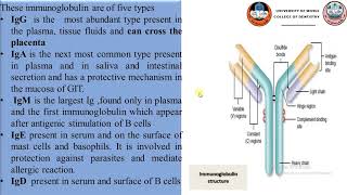 immunopathology 1 [upl. by Wolfort]