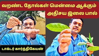 மிகவும் வறண்ட தோல்களை கூட மென்மை ஆக்கும் அதிசய எண்ணெயா இது skin care hair care oil [upl. by Derfla]