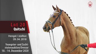 Youngster und ZuchtstutenauktionDressur Lot 20 Quitschi Hengst v Quantensprung  Londonderry [upl. by Malva686]