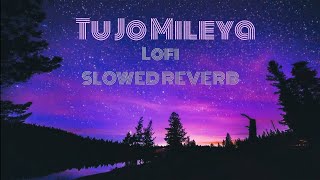 Tu Jo Mileya song lofi slowed reverb [upl. by Julianne]