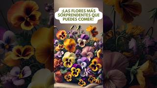 🍽️🌸 ¡Estas flores no solo son hermosas también deliciosas ¡Pruébalas 😍 [upl. by Derr]