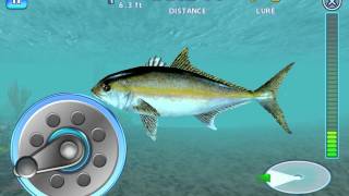 Fishing Kings Free  iPhoneiPadAndroid  Official trailer [upl. by Nivets]