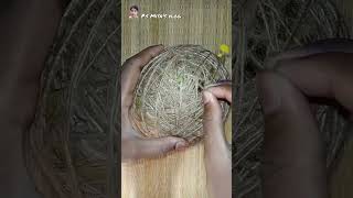 How to make a Weaver bird nest at home ll video shorts [upl. by Tsenre694]