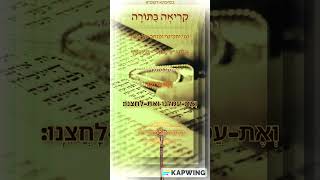 פָּרָשַׁת quotכִּיתָּבוֹאquot  עֲלִיַּת שֵׁנִי [upl. by Tiffany]