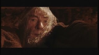 The Lord of the Rings Fellowship of the Ring  Run you Fools  Gandalf Falls OST HD [upl. by Saffren657]