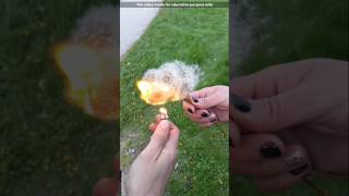 Highly Flammable Cottonwood  Cottonwood Fluff [upl. by Nnaear]