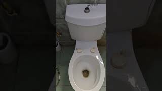 Ye halat hai washroom ki vlog short Mini Vlog1 [upl. by Annaid]