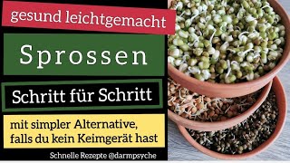 Rohkost einfach erklärt  Wie kann man Sprossen selber ziehen  Anleitung mit und ohne Keimgerät [upl. by Cotsen]