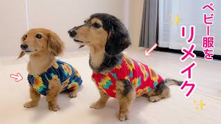 【ダックスフンド】犬服☆西松屋で激安ベビー服を買って簡単リメイク！！《ハンドメイド》 [upl. by Jordans]