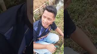 Komedi sundangalindih tempat ngendog lucu ngakak comedyindonesian comedyfilms funny comedy [upl. by Ydal251]