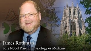 Yales James Rothman shares 2013 Nobel Prize in Physiology or Medicine [upl. by Ailey654]