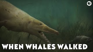 When Whales Walked [upl. by Xonel230]