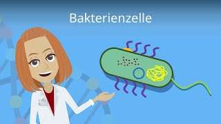 Bakterienzelle  Aufbau amp Funktion einfach erklärt  Studyflix [upl. by Rakabuba]