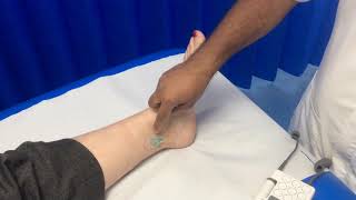 How to check for the posterior tibial pulse using a Doppler [upl. by Timothea]