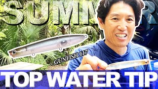 【Early Summer】Summertime GunFishing【Topwater Bait】 [upl. by Atteuqcaj]