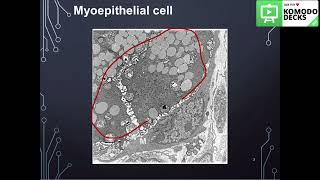 Salivary gland Histology practical part 1 [upl. by Ravid]