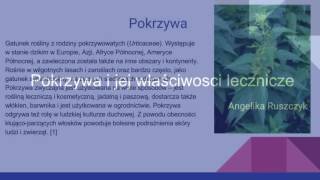 Pokrzywa i jej właściwości lecznicze [upl. by Aicire]