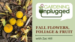 Gardening Unplugged  Attractive Flowers Foliage and Fruit in the Fall Garden with Zac Hill [upl. by Attiuqaj531]