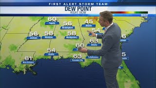 Portions of Wiregrass seeing drought [upl. by Meris]