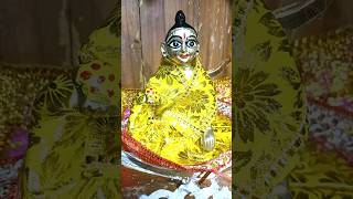 নদীয়ার পথে পথে হরিনাম নিয়ে মুখেshorts laddugopal gopalseba viral trending krishna [upl. by Khanna]