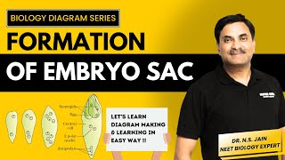 Formation of Embryo Sac  Making amp Labeling in Easy Way biology neet diagram neetbiology [upl. by Ocram]