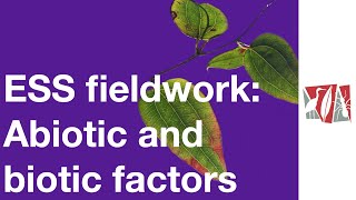 EES fieldwork video 5 Abiotic and biotic factors [upl. by Alleris469]