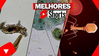 COMPILADO MELHORES SHORTS MAIO MICROSCOPIA E CIÃŠNCIA [upl. by Hamo]