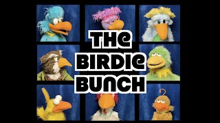 The Birdie Bunch  Parody Video [upl. by Annaiviv143]