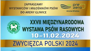 Międzynarodowa Wystawa Psów Katowice 2024 [upl. by Olifoet478]