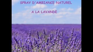 Spray dambiance désodorisant naturel à la lavande recette chrono  de 5 min [upl. by Ydnih]