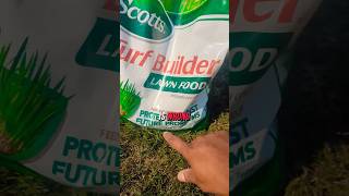 Fertilize Your Lawn at the RIGHT Time to Save Your Grass shorts [upl. by Wylma]