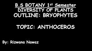 Anthoceros by Rizwana Nawaz [upl. by Ailegnave313]