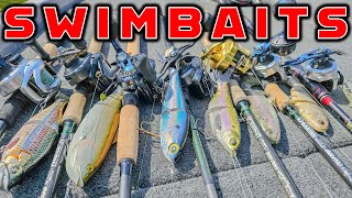 Swimbait Fishing – Full Seminar For Beginners and Advanced Anglers [upl. by Sillad815]