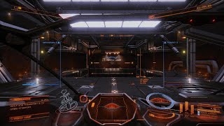 Elite Dangerous Civilization at last [upl. by Limoli515]