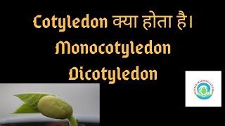 What is cotyledon  types of Cotyledon  science learning academy 👍 by Neha Maam [upl. by East]