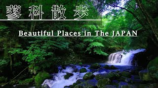 Beautful palace in JAPAN 蓼科散策 [upl. by Naus624]