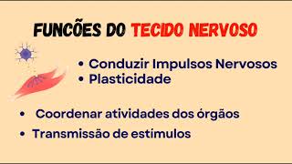 Tecido nervoso 205 [upl. by Aeneus]