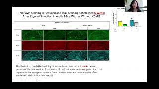 AD Toxoplasma Gondii Project UROP Video [upl. by Billmyre]