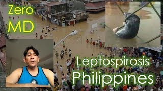 Leptospirosis Guidelines in the Philippines Education and Management Strategies by DOH [upl. by Nicolai382]