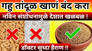 आहाराबाबत झालेल्या या नविन संशोधनाने देशात खळबळ उडालीbest healthy foodgrainsmilletsin marathi [upl. by Ahsyak]