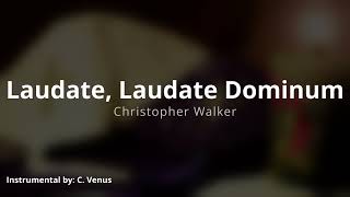 Laudate Laudate Dominum basic orchestration Instrumental [upl. by Baiel696]