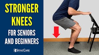 Easy Knee Strengthening Exercises for Seniors and Beginners [upl. by Naujat]